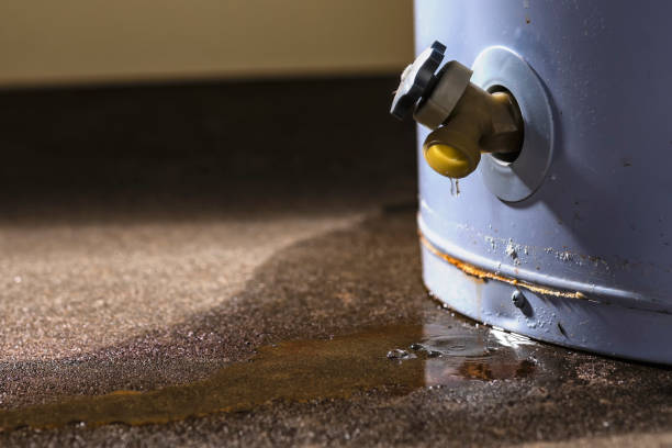 Best Professional water damage repair  in Aberdeen, SD