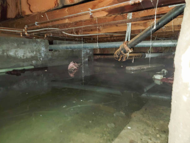 Best Flood restoration services  in Aberdeen, SD