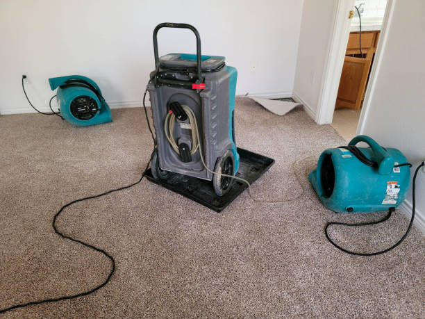 , SD Water damage restoration Company