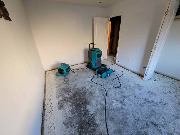 Best Sewage cleanup and water damage restoration  in Aberdeen, SD