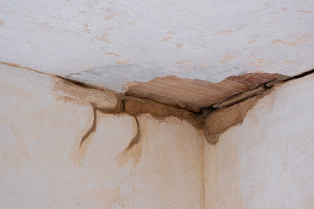 Best Flood restoration services  in Aberdeen, SD