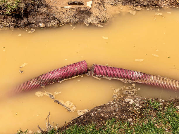 Best Mold removal after water damage  in Aberdeen, SD